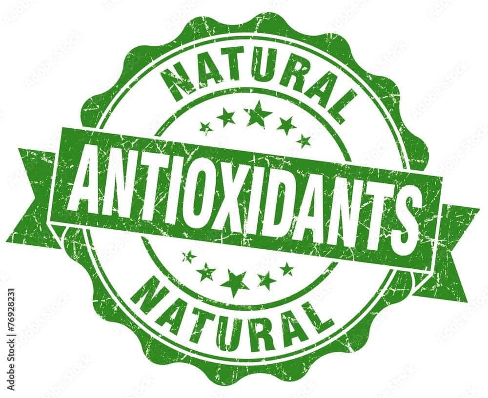 antioxidants in chocolates